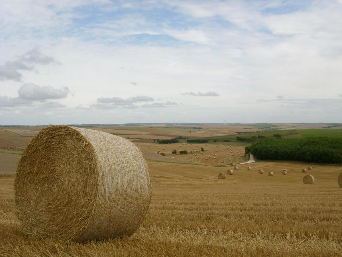Gite Rural Le Bois Roger Widehem Exterior foto
